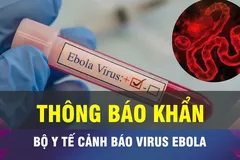 18 GIỜ NGÀY 18-5: Thông báo khẩn dịch sốt xuất huyết do virus Ebola