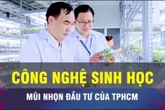18 GIỜ NGÀY 25-6: TPHCM đầu tư vào 'mũi nhọn' công nghệ sinh học