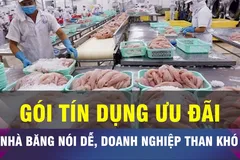 18 GIỜ NGÀY 11-7: Vì sao doanh nghiệp khó tiếp cận gói tín dụng ưu đãi?