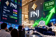 Cổ phiếu PNJ bất ngờ tăng trần