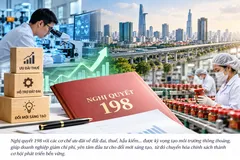 Chuyển hóa chính sách thành cơ hội đầu tư