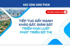 Tiếp tục đẩy mạnh khảo sát, giám sát triển khai Luật Phát triển đô thị