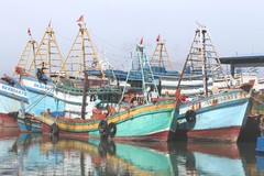 Ho Chi Minh City sets October 30 deadline for eCDT rollout