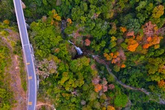 Những vạt rừng thay lá, tạo thành bức tranh đa màu sắc