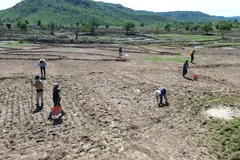 Mùa lên rẫy trỉa lúa ở vùng cao Gia Lai