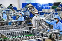 Giảm thuế, cải cách thể chế giúp doanh nghiệp lớn mạnh