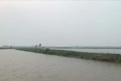 Hiện tượng lớp mù tại Nam bộ. Ảnh: NGUYỄN MINH KHÔI