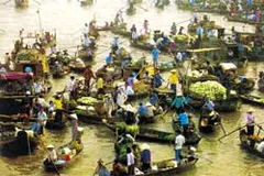 Tình Hậu Giang
