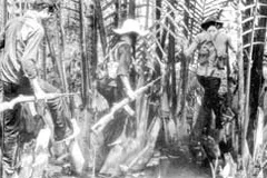 Một sự thật