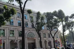 Vụ “Cắt tỉa quá tay, mảng xanh trơ trụi”: Rà soát, rút kinh nghiệm công tác cắt tỉa cây xanh