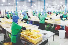 Cách doanh nghiệp ứng phó nguy cơ đứt gãy chuỗi cung ứng