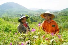 Lão nông 'lập dị' biến đồi hoang thành vườn rừng sinh thái