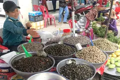 Khó kiểm soát chất lượng, người tiêu dùng 'nhắm mắt' ăn... ốc