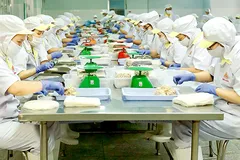 Tiến vào công đoạn có giá trị cao trong chuỗi sản xuất toàn cầu