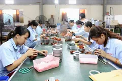 Làm sạch mã số thuế, siết doanh nghiệp 'ma'