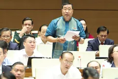 ĐB Thạch Phước Bình (Vĩnh Long). Ảnh: QUANG PHÚC