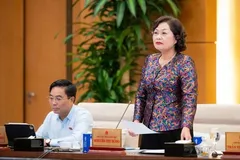 Phó Chủ tịch Quốc hội Nguyễn Thị Hồng điều hành phiên họp. Ảnh: CẨM HÀ