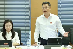 ĐB Nguyễn Thanh Tùng (TPHCM), Chủ tịch Hội đồng Quản trị Vietcombank phát biểu tại phiên họp tổ ĐB Quốc hội TPHCM chiều 6-8. Ảnh: QUANG PHÚC