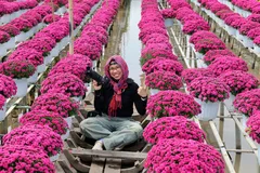 Đồng Tháp: Doanh thu du lịch dịp Tết Dương lịch đạt 716 tỷ đồng