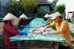 Làng cá khô miền Tây tất bật vào mùa Tết