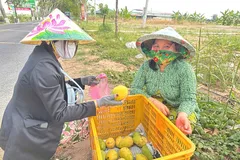 Đồng Tháp đưa 'chợ số' đến với nông dân