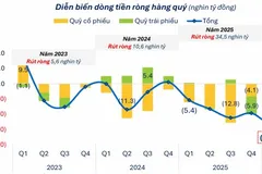 Các quỹ đầu tư rút ròng hơn 14.000 tỷ đồng sau 3 tháng