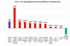 CPI tháng 4 tăng mạnh do biến động giá nhiên liệu 