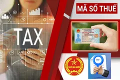Ngành thuế quyết tâm làm sạch mã số thuế trong kinh doanh