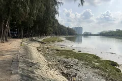 TPHCM phê duyệt dự án nạo vét, chỉnh trang rạch Bà Lớn