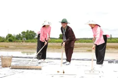 Khách du lịch trải nghiệm nghề làm muối truyền thống trên ấp đảo Thiềng Liềng (xã Thạnh An)