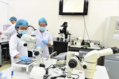Nghị định 179 tạo 'đòn bẩy' phát triển nhân lực công nghệ cao