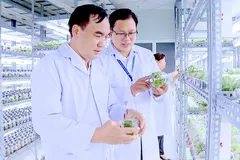 TPHCM đầu tư vào 'mũi nhọn' công nghệ sinh học