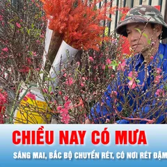 Podcast bản tin trưa 30-1: Miền Bắc có mưa do không khí lạnh