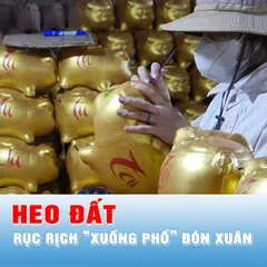 Podcast: Heo đất rục rịch “xuống phố” đón xuân