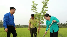 Cần Thơ phát động “Tết trồng cây”, Đồng Tháp rộn ràng thăm đồng đầu năm