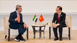 Bộ trưởng Ngoại giao Lê Hoài Trung gặp Bộ trưởng Ngoại giao UAE, Ai Cập và Thổ Nhĩ Kỳ