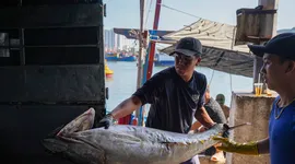 Ngư dân Khánh Hòa hứng khởi đón chuyến biển đầu xuân