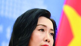 Confident Vietnam in 2020: FM spokeswoman ảnh 1