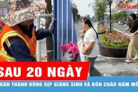 TPHCM: Sau 20 ngày chỉnh trang, dọc hai bên đường Lê Lợi giờ ra sao?