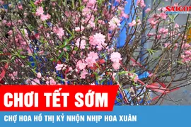 TPHCM: Đào mini, tuyết mai "đổ bộ" chợ hoa Hồ Thị Kỷ