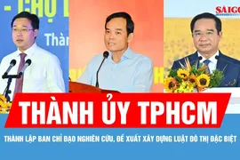 Thành ủy TPHCM thành lập Ban Chỉ đạo nghiên cứu, đề xuất xây dựng Luật Đô thị đặc biệt