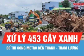 Xử lý 453 cây xanh để thi công metro Bến Thành - Tham Lương