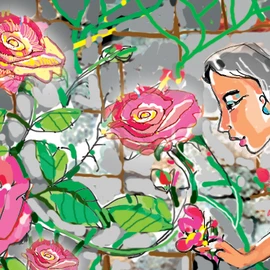Podcast: Hoa hồng leo bên tường đá