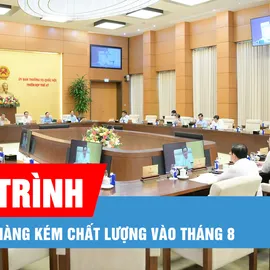 Podcast bản tin tối 10-7: Tháng 8 sẽ tổ chức phiên giải trình về thuốc giả, thực phẩm giả