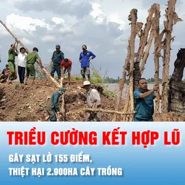 Podcats bản tin tối 25-10: Triều cường kết hợp lũ gây sạt lở 155 điểm, thiệt hại 2.900ha cây trồng