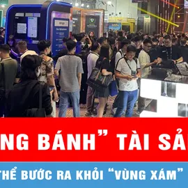 Podcast: Sôi sục “miếng bánh” tài sản số tỷ USD