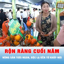 Podcast tin trưa 20-12: "Phiên chợ nông sản vùng miền - Bình Đông" có gì thú vị?
