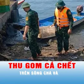 Podcast bản tin 17 giờ 30-12: Huy động lực lượng khẩn trương thu gom cá chết trên sông Chà Và