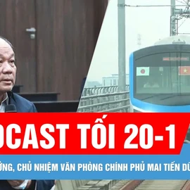 Podcast bản tin tối 20-1: Cựu Bộ trưởng, Chủ nhiệm Văn phòng Chính phủ Mai Tiến Dũng lĩnh án treo