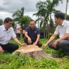 Podcast bản tin trưa 8-7: Lý do một dòng sữa dinh dưỡng cho trẻ em tại TPHCM bị thu hồi | Tử hình đối tượng sát hại 4 người thân
